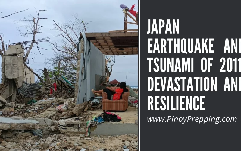 Japan Earthquake and Tsunami of 2011: Devastation and Resilience