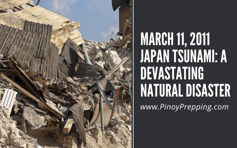 March 11, 2011 Japan Tsunami: A Devastating Natural Disaster